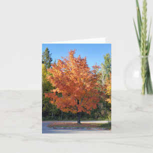Carte De Remerciements Feuilles d'automne