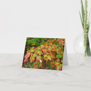 Carte De Remerciements Feuilles d'automne