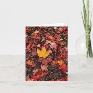 Carte De Remerciements Feuilles d'automne