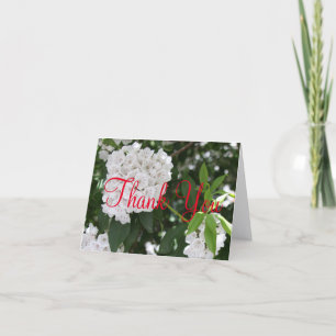 Carte De Remerciements Fleur de Kalmia de montagne magnifique de remercie