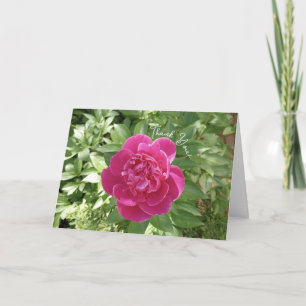 Carte De Remerciements Fleur de pivoine rose vive