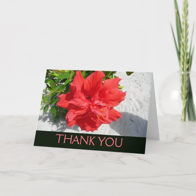 Carte De Remerciements Fleur d'Hibiscus Double Rouge (Devant)