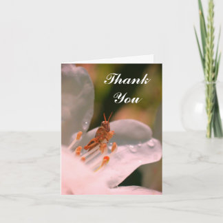 Carte de remerciements Fleur Et Grasshopper Azalea
