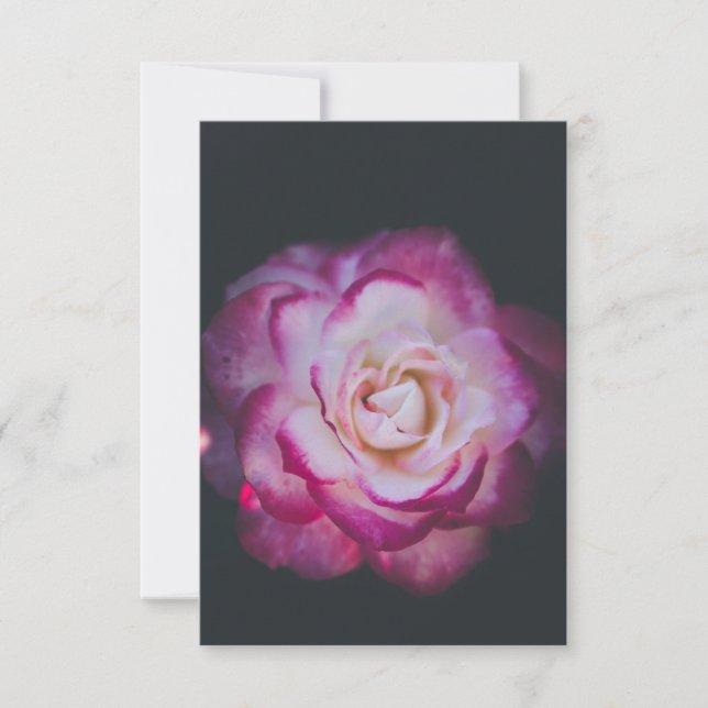 Carte De Remerciements Fleur rose Fuchsia (Devant)