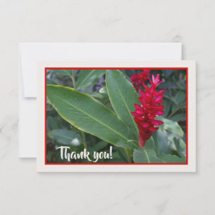 Carte De Remerciements Fleur rouge hawaïenne