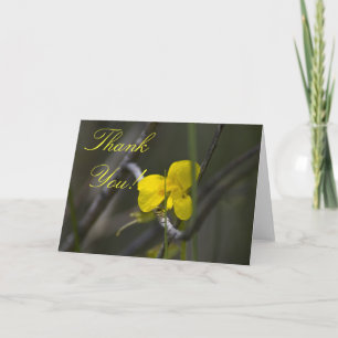 CARTE DE REMERCIEMENTS FLEUR SAUVAGE 2