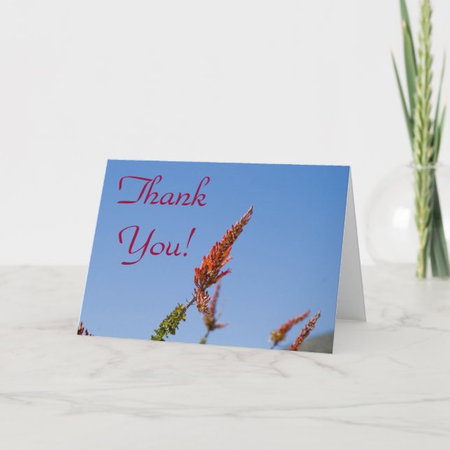 CARTE DE REMERCIEMENTS FLEUR SAUVAGE 4 (Devant)