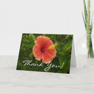 Carte De Remerciements Fleur tropicale de fleur d'hibiscus orange