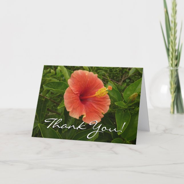 Carte De Remerciements Fleur tropicale de fleur d'hibiscus orange (Devant)