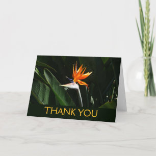 Carte De Remerciements Fleur tropicale orange oiseau de paradis