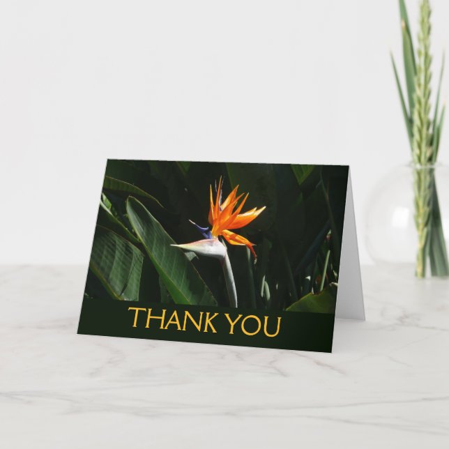 Carte De Remerciements Fleur tropicale orange oiseau de paradis (Devant)