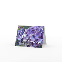 Fleur violette d'hortensia