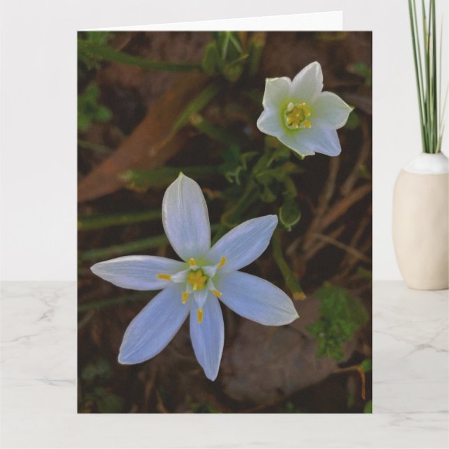Carte De Remerciements fleurir en blanc  (Devant)