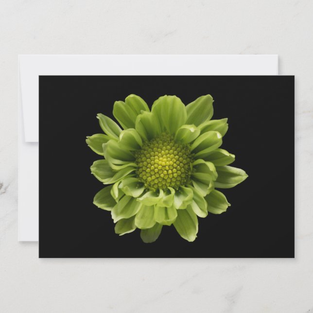 Carte De Remerciements Fleurs | Chrysanthème vert (Devant)