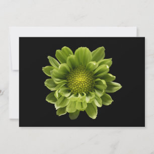 Carte De Remerciements Fleurs   Chrysanthème vert