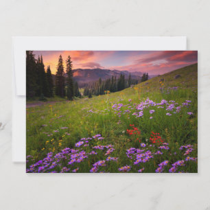 Carte De Remerciements Fleurs Colorado Fleur sauvage violet