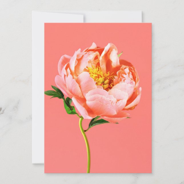 Carte De Remerciements Fleurs | Coral Peony Blossom (Devant)