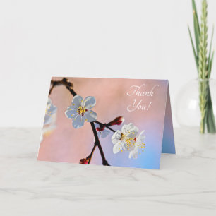 Carte De Remerciements Fleurs d'abricot japonaises blanches classiques