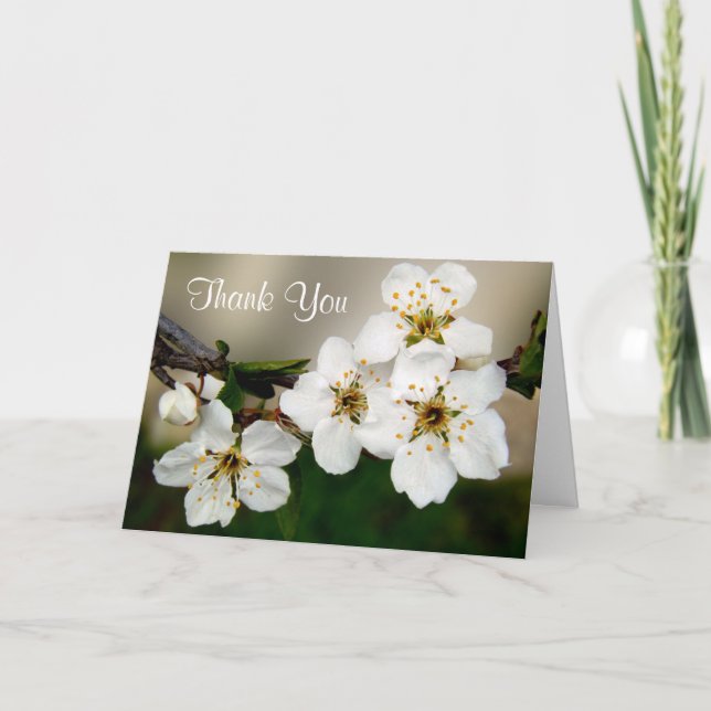 Carte De Remerciements Fleurs de cerisier blanc Fleur de cerisier remerci (Devant)