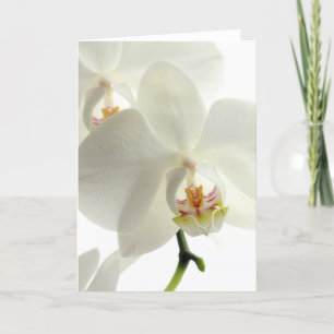 Carte De Remerciements Fleurs de cerisier Orchidées Paix Amour Destinée