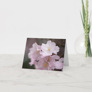 Carte De Remerciements Fleurs de cerisier roses