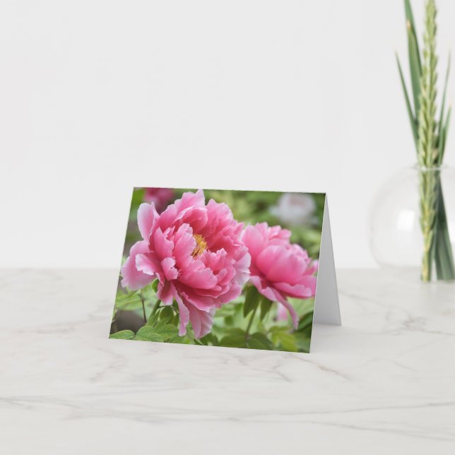 Carte De Remerciements Fleurs de pivoines roses florales Blank (Devant)