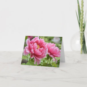 Carte De Remerciements Fleurs de pivoines roses florales Vierge
