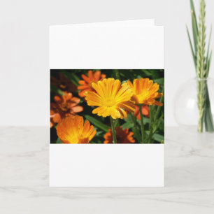 Carte De Remerciements Fleurs Jaunes Fleurs Art Paix Aimer Destiny