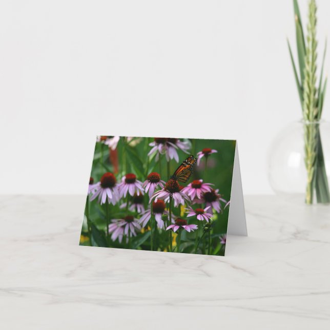 Carte De Remerciements Fleurs Monarch & Cone (Devant)
