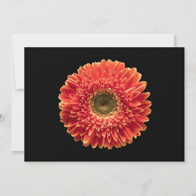 Carte De Remerciements Fleurs | Orange Gerbera Daisy (Devant)