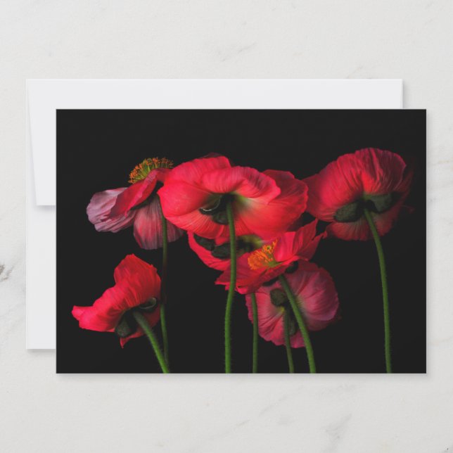 Carte De Remerciements Fleurs | Poppies rouges (Devant)