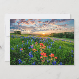 Carte De Remerciements Fleurs   Texas Bluebonnets & Indian Paintbrush