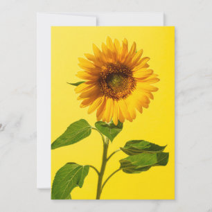 Carte De Remerciements Fleurs   Tournesol jaune