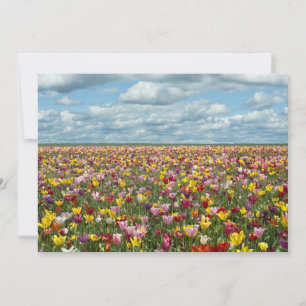 Carte De Remerciements Fleurs Tulips Willamette Valley Oregon