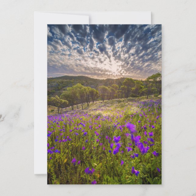 Carte De Remerciements Flowers (homonymie) | Ordre d'Australie (Devant)