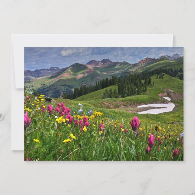 Carte De Remerciements Flowers (homonymie) | Wildflowers Durango (Devant)