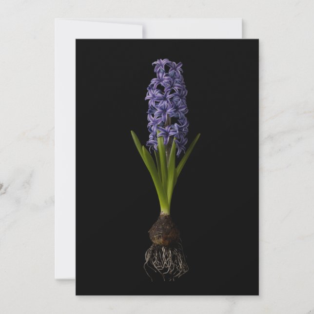 Carte De Remerciements Flowers | Purple Hyacinth Bulb (Devant)