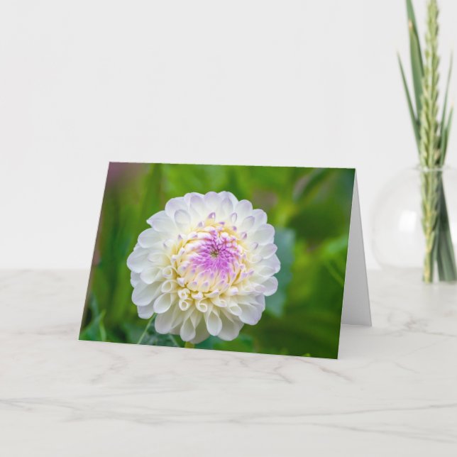 Carte De Remerciements Folded Thank You Card (Devant)