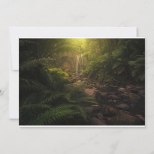 Carte De Remerciements Forêt   Cascade Sunlight Highlights
