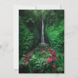 Carte De Remerciements Forêt Cascades Leke Leke Waterfalls à Bali