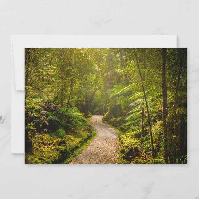 Carte De Remerciements Forêt | Chemin De Marche Dans La Forêt (Devant)