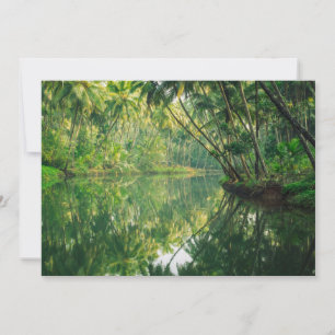 Carte De Remerciements Forêt   Forêt de mangrove