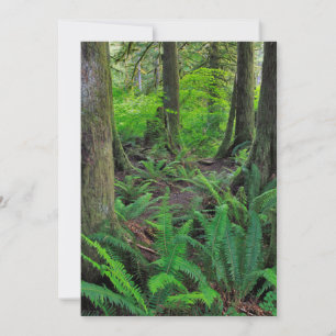 Carte De Remerciements Forêt Scénique Verte Luxuriante