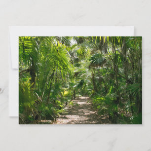 Carte De Remerciements Forêt   Tropical Rainforest Tulum Mexique