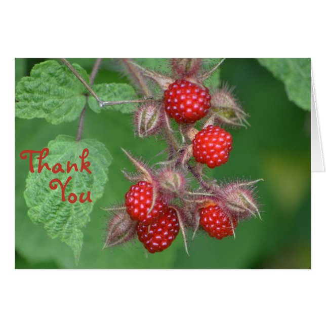 Carte de remerciements framboise (Devant horizontal)