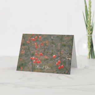 Carte De Remerciements Fresh Red Berries Winter Nature Photography