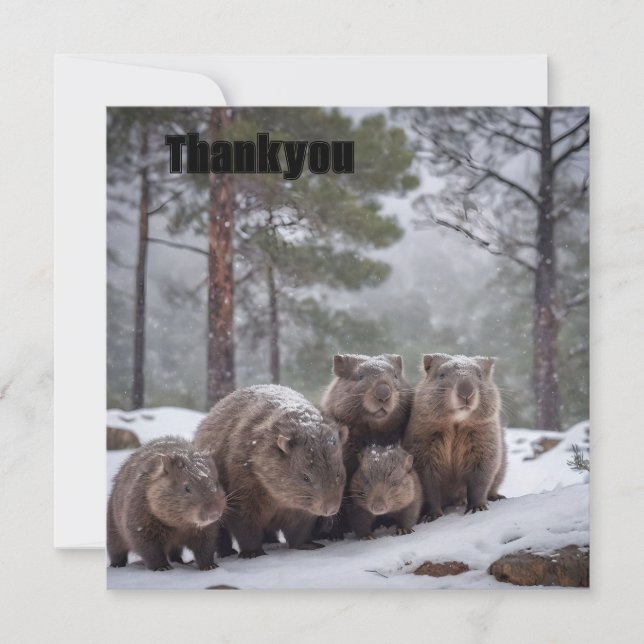 Carte De Remerciements Frozen Burrow : famille australienne Wombat (Devant)