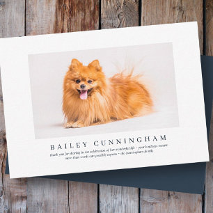 Carte De Remerciements Funérailles commémoratives pour animal de compagni