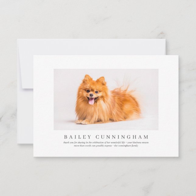 Carte De Remerciements Funérailles commémoratives pour animaux de compagn (Devant)