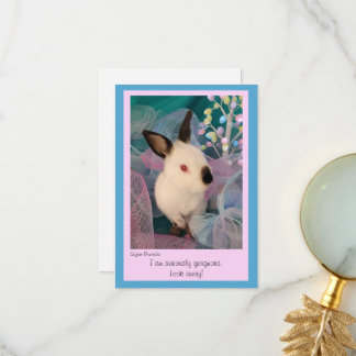 Carte De Remerciements Funny Bunny Flat Greeting Card w/ Envelope